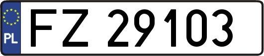 FZ29103