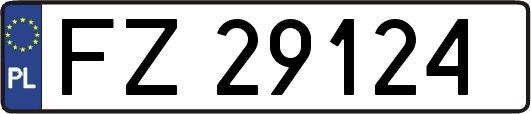 FZ29124