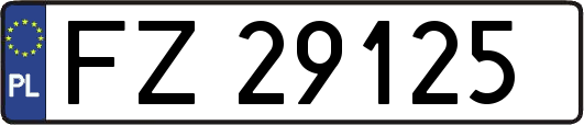 FZ29125
