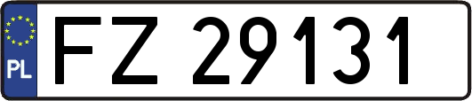 FZ29131