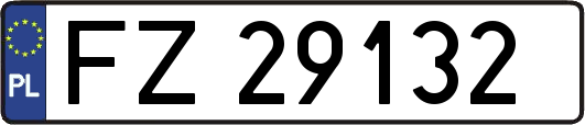 FZ29132