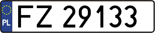FZ29133
