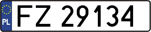 FZ29134