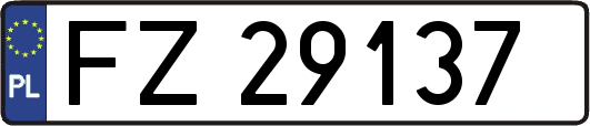FZ29137