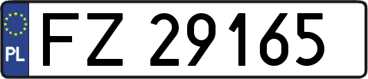 FZ29165