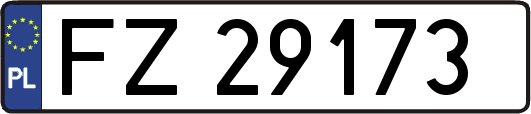 FZ29173