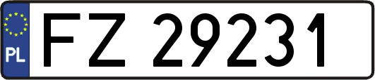 FZ29231