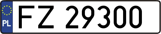 FZ29300