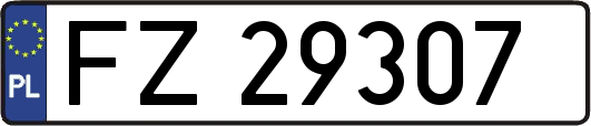 FZ29307