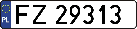 FZ29313