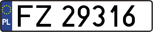 FZ29316