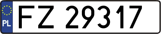 FZ29317