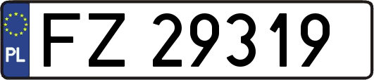 FZ29319