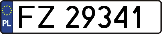 FZ29341