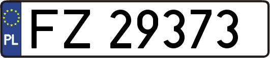 FZ29373