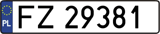 FZ29381