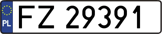 FZ29391