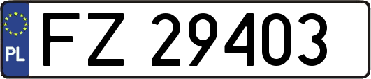 FZ29403
