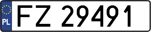 FZ29491