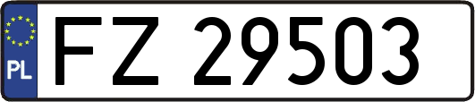 FZ29503