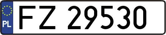 FZ29530