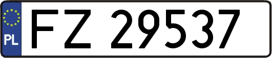 FZ29537