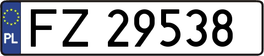 FZ29538
