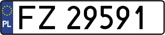 FZ29591