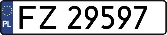 FZ29597