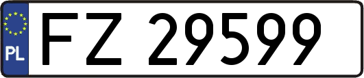 FZ29599