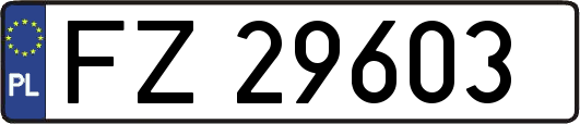 FZ29603