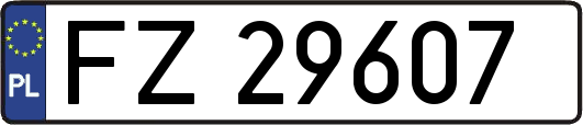 FZ29607