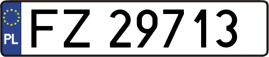 FZ29713