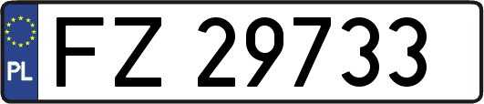 FZ29733