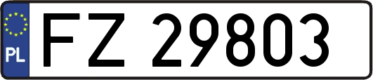 FZ29803
