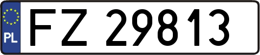 FZ29813