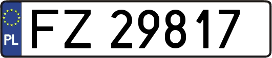 FZ29817