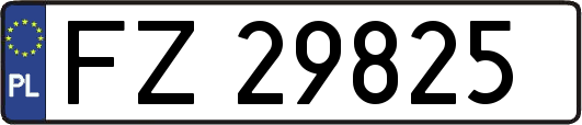FZ29825