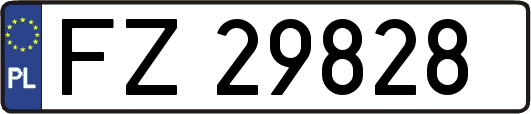 FZ29828