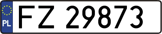 FZ29873