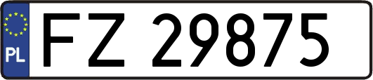 FZ29875