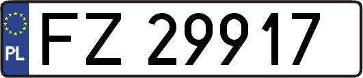 FZ29917