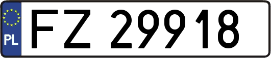 FZ29918
