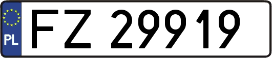 FZ29919