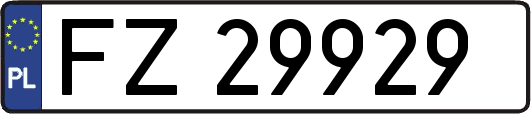FZ29929