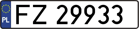FZ29933