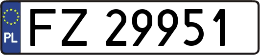 FZ29951