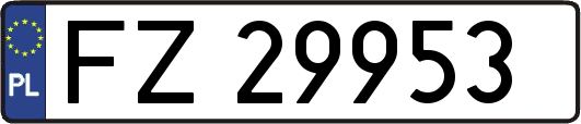 FZ29953