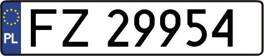 FZ29954