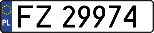 FZ29974